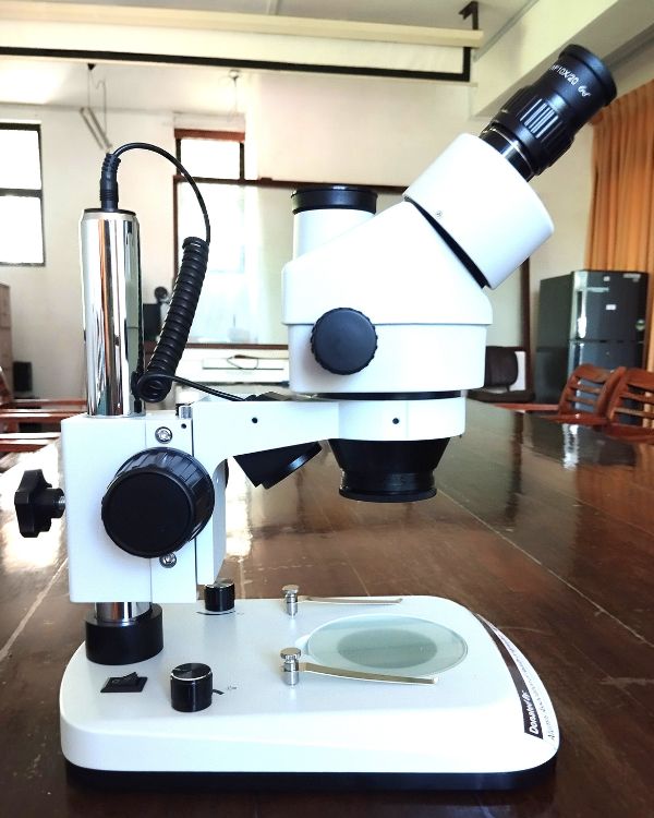 Stereo Microscope 1